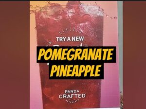 Pomegranate Pineapple Flavored Lemonade